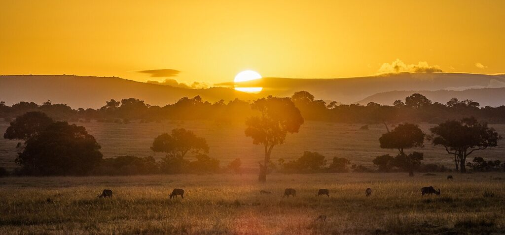 Best Time to Visit Maasai Mara for Wildlife Viewing