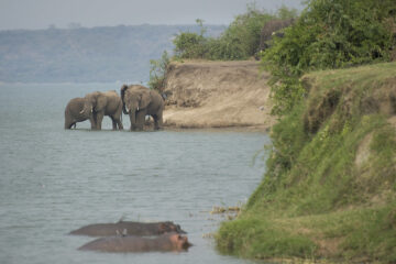 Best Time to Visit Uganda
